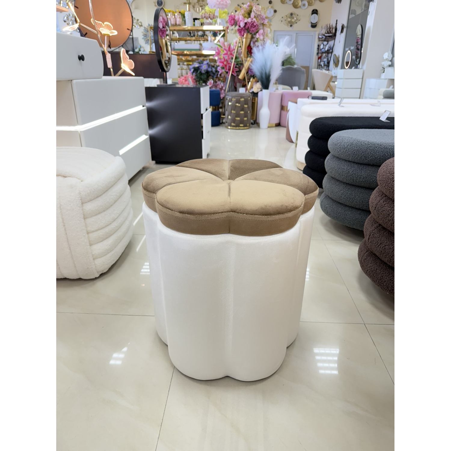 viber_image_2026-01-18_11-50-33-135