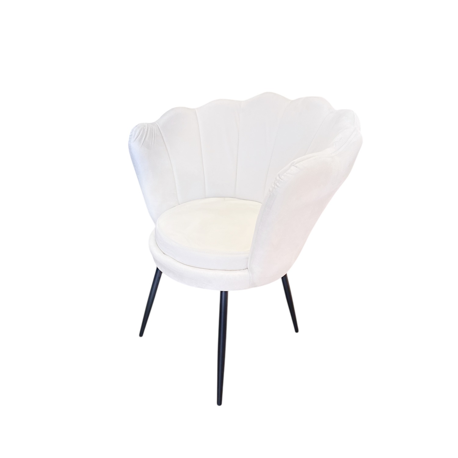 viber_image_2026-01-20_13-44-57-621