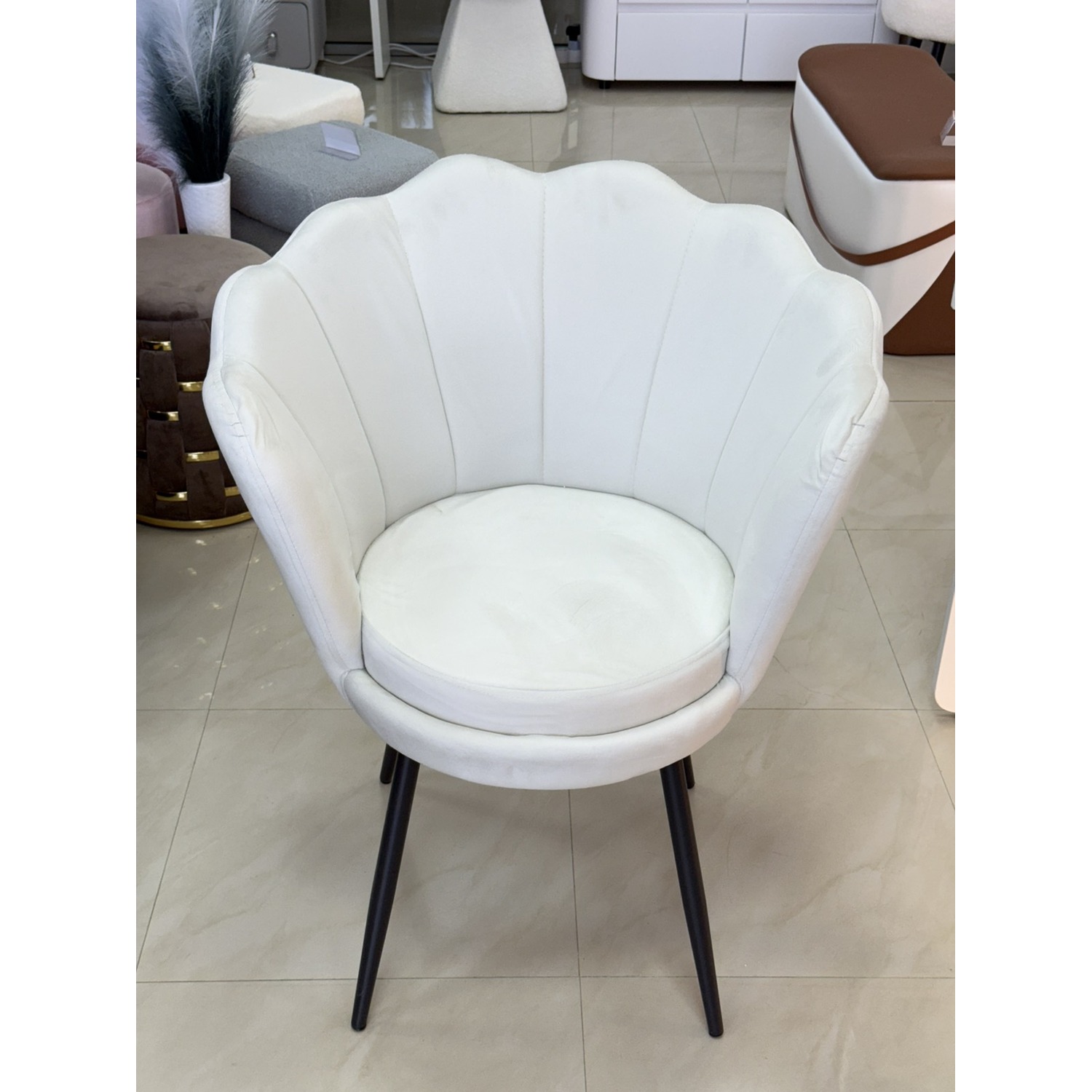 viber_image_2026-01-20_13-44-58-065