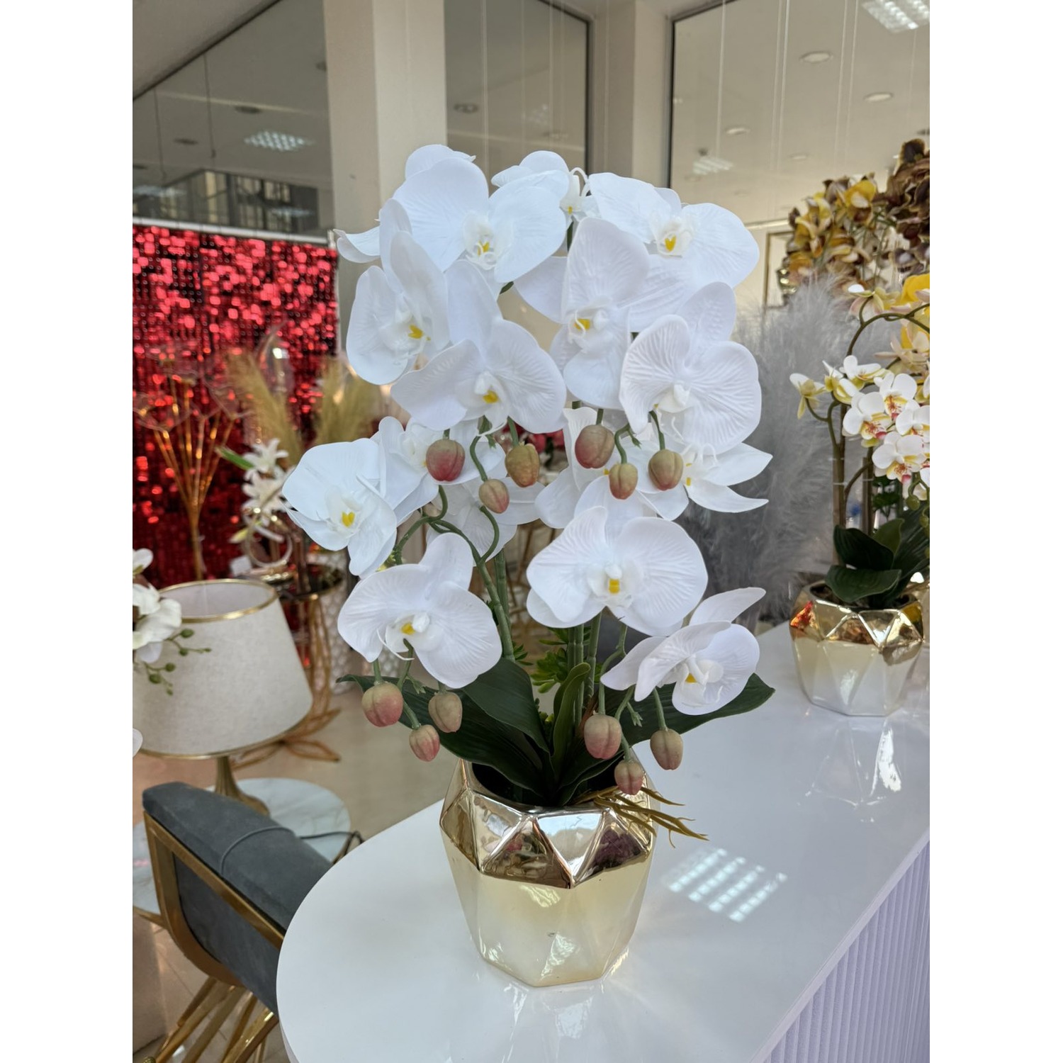 viber_image_2026-01-23_10-40-32-246